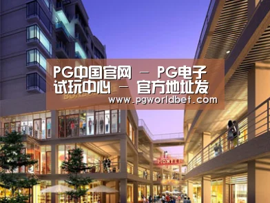 案例展示一(图1)
