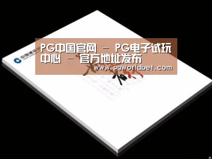 项目名称七