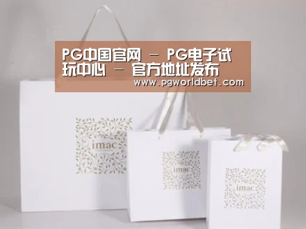 项目名称十一