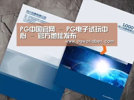 项目名称十