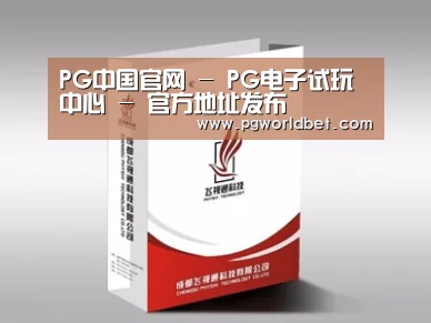 项目名称十三