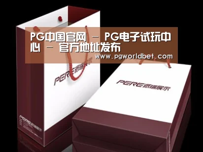 项目名称十二