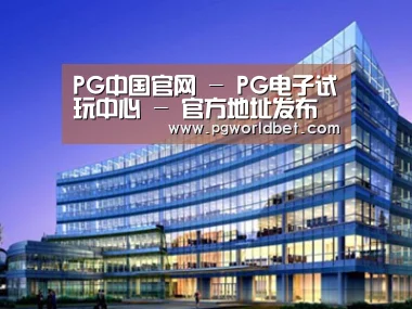 案例展示五
