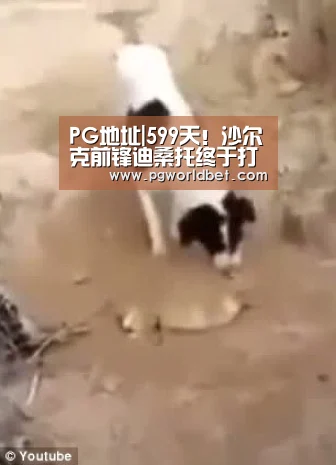 PG中心